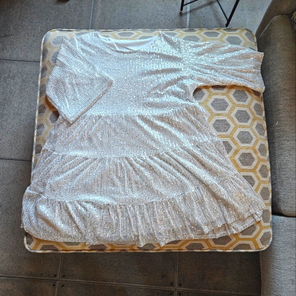 Elegant Silver Sequin Dress